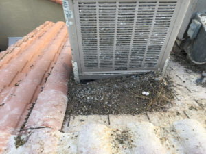 Pigeon Droppings on AC Unit