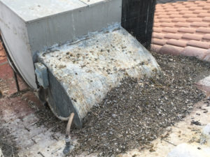 Pigeon Droppings on AC Unit 2