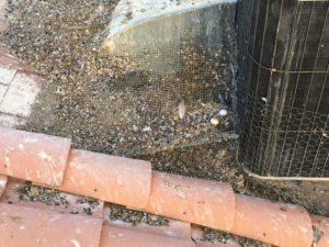 Pigeon Droppings on AC Unit 3