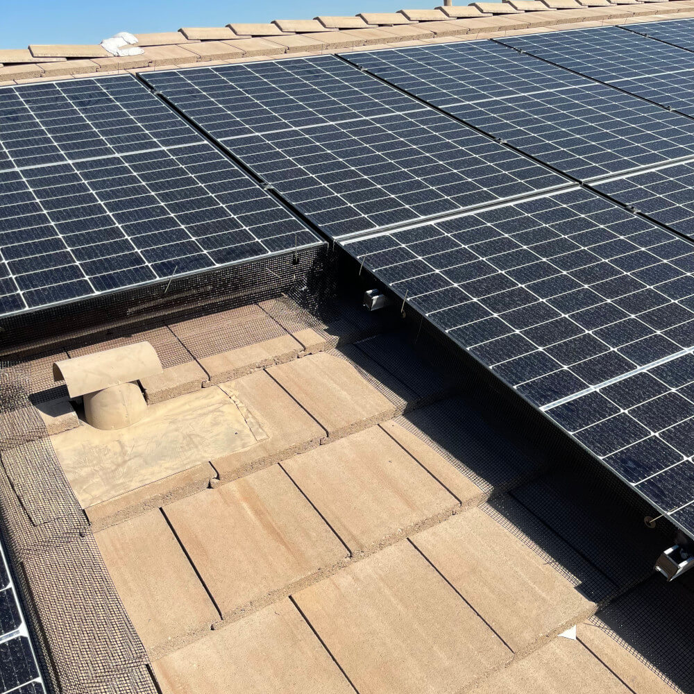 Rooftop Pigeon Proofing For Solar Panels