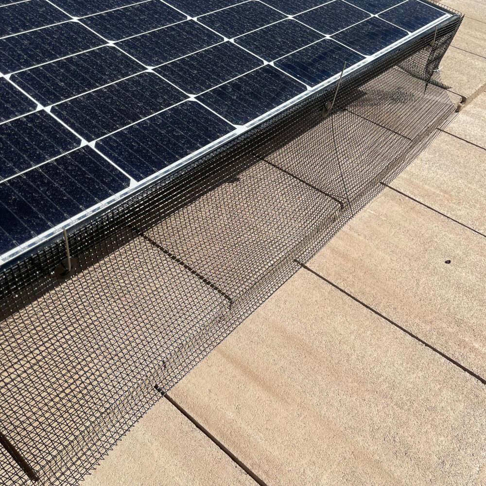 Solar Panel Pigeon Proofing Right Front
